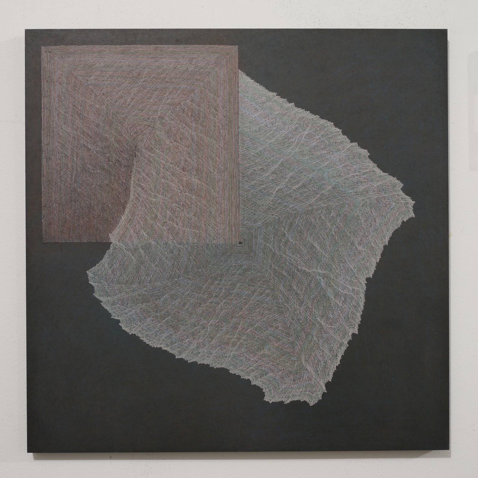 Susumu Takashima — work