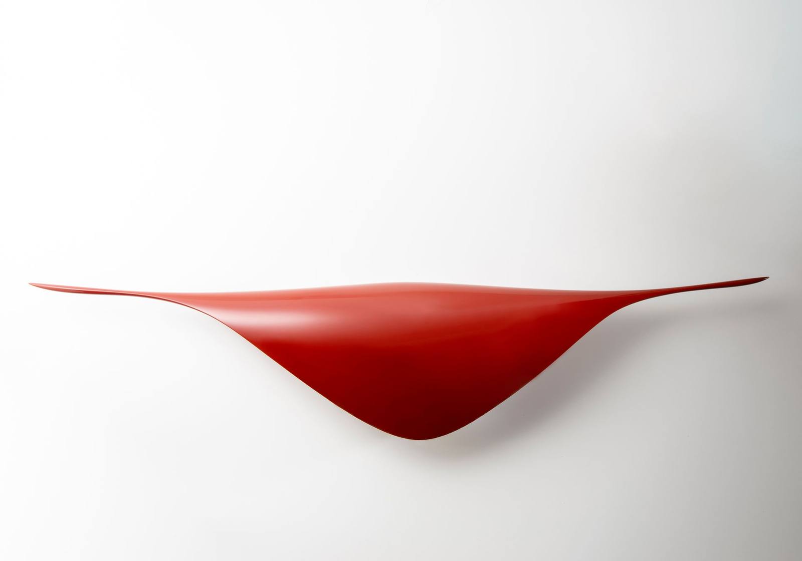 Takeshi Igawa