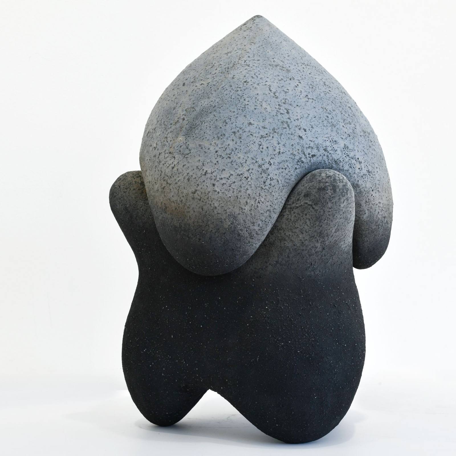 Kenji Gomi — work